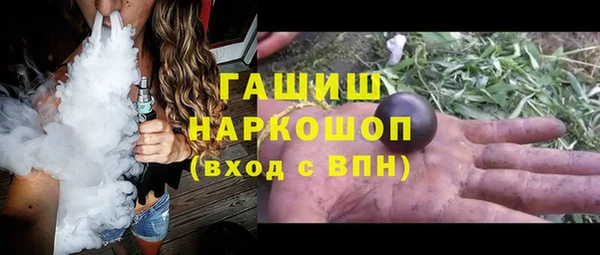 сатива Карпинск