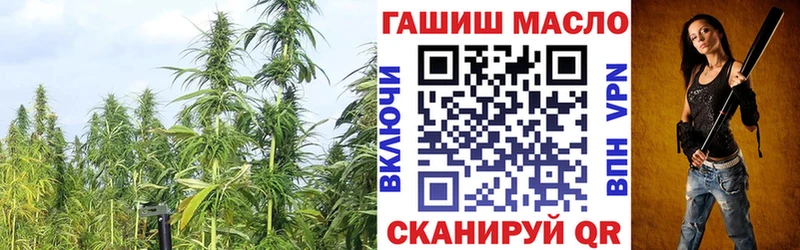 наркошоп  Правдинск  Дистиллят ТГК гашишное масло 
